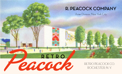 Retro Peacock Company, Avian Division, New York City